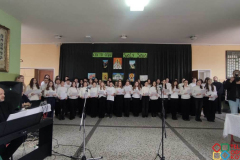 viber_image_2026-01-27_14-38-41-111