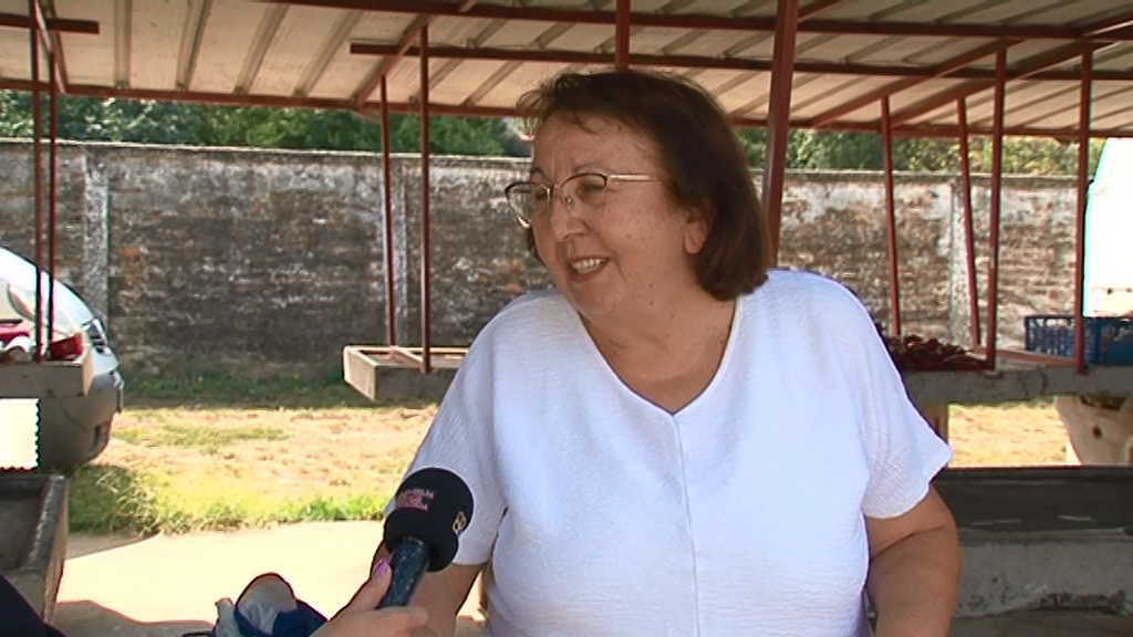 Anketa: Građani o uvođenju gasne mreže u opštini Kovačica