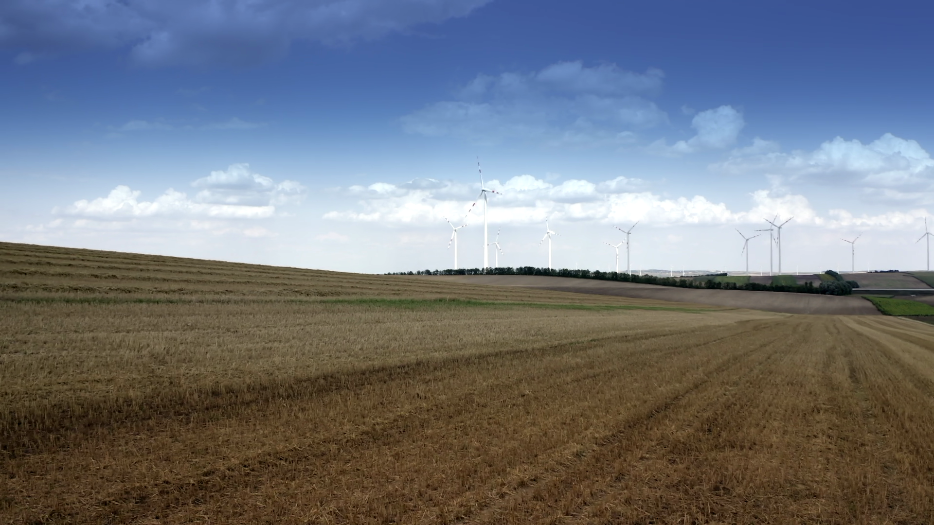 Država pooštrava kontrolu: podsticaji samo za one koji stvarno rade na njivama