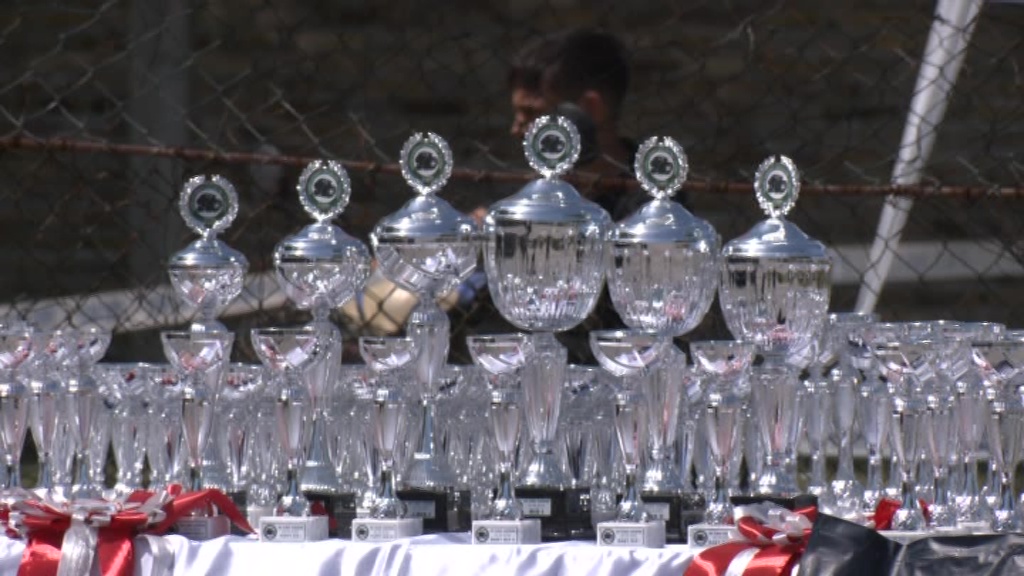 Više od 100 pasa na Nacionalnoj izložbi u Uzdinu