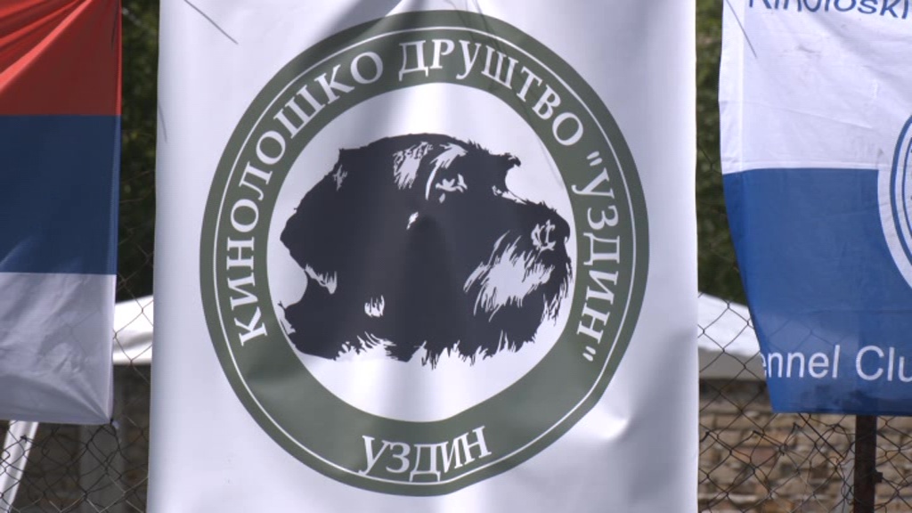 Peste 100 de câini prezenți la Expoziția Națională Canină de la Uzdin